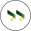 Icon Next Color